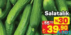 SALATALIK KG SALATALIK KG